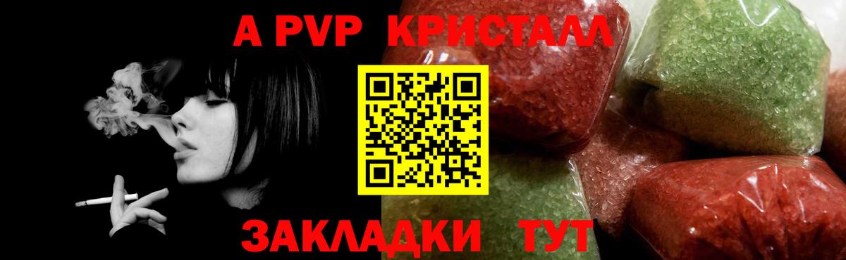 A PVP СК Новосибирск