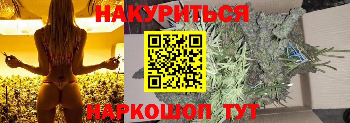 Канабис сатива Новосибирск